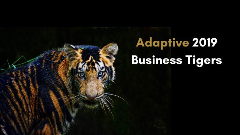 Business Tigers_Adaptive SAG 2019